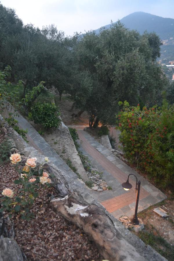 Villa Olivari - Apt Il Melograno Camogli Exterior foto